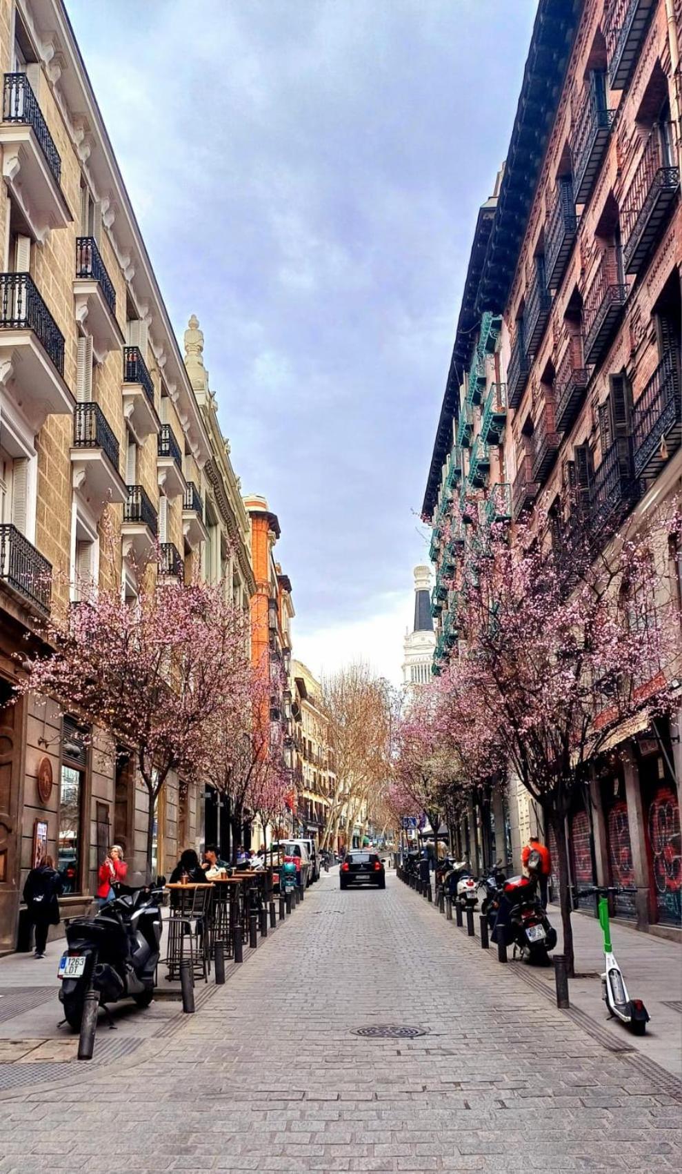 Artistic Pensión Madrid